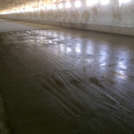 IMG-20110805-00244